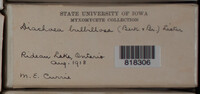 Image Associated With the Occurence